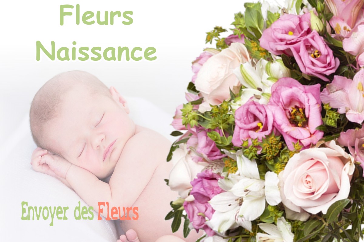 lIVRAISON FLEURS NAISSANCE à AMBAX